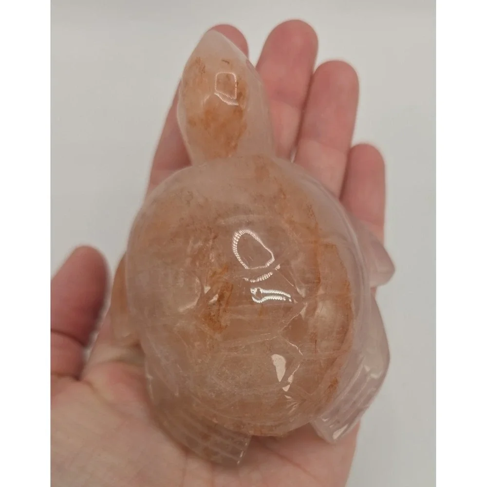 Natural Red Fire Quartz Hematoid Carved Turtle 4